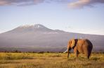 Kenia - widok na Kilimandżaro