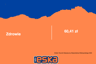 Wielkopolska: Na co wydajemy najwięcej pieniędzy?