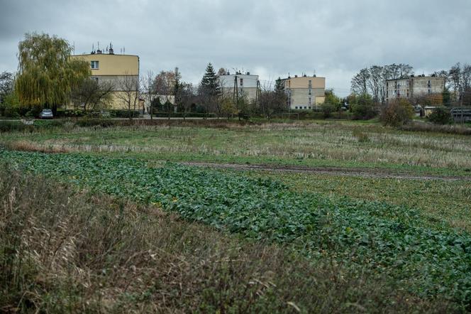 Rok od tragedii w Przewodowie. Odsłonięto tablicę