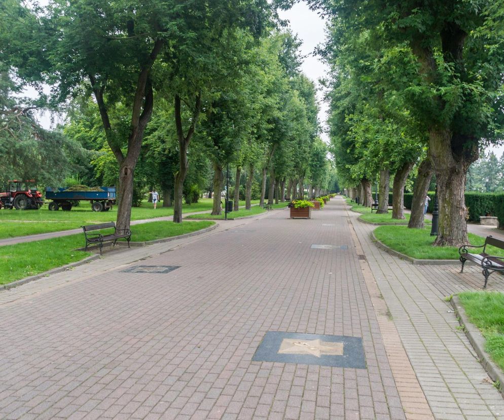 Deptak Sław.