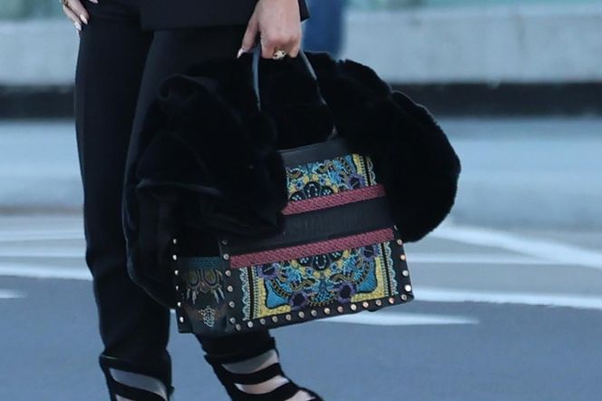 Justyna Steczkowska podróżuje z kasą i klasą