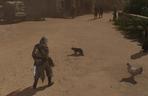 Mistrz Miausasynów. Koty w Assassin's Creed Mirage są wyjątkowe