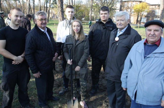 Sto drzew na 100. rocznicę odzyskania niepodległości w Toruniu