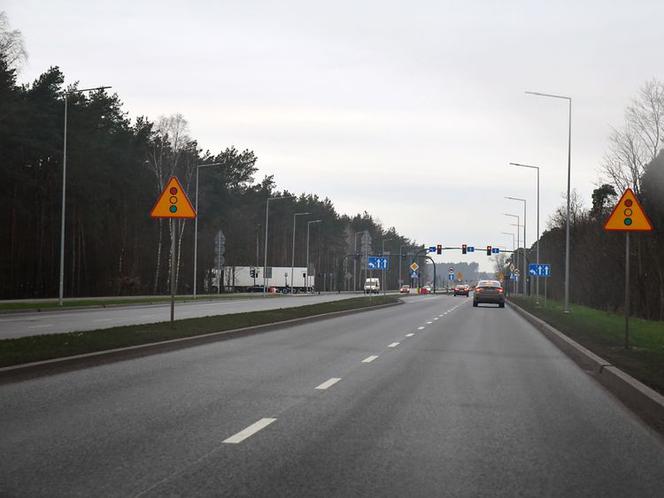 Rozbudowa ul. Grunwaldzkiej. Będą nowe drzewa i krzewy