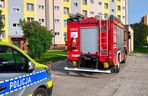 Kot zaklinował się w uchylonym oknie