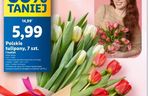 Dzień Kobiet - oferty z gazetrk