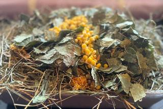 Pierwsze urodziny małego Stefanka