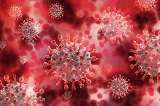Szczpionka przeciw grypie nie jest tarczą lecz bronią