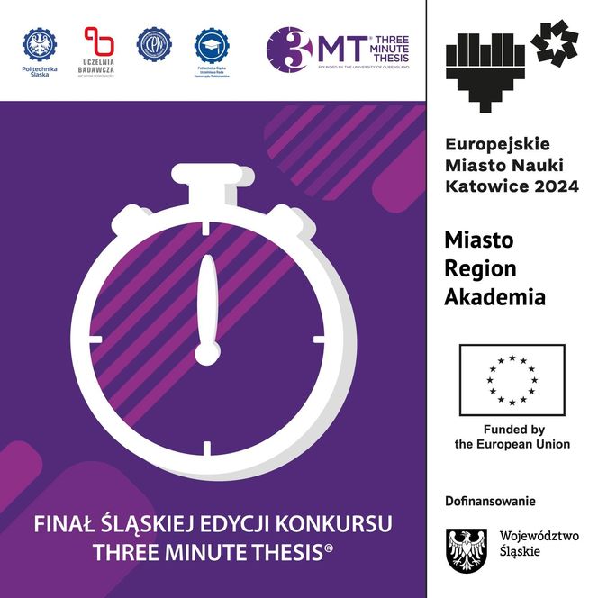 Three Minute Thesis