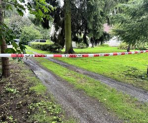 Zabójstwo pod Iławą