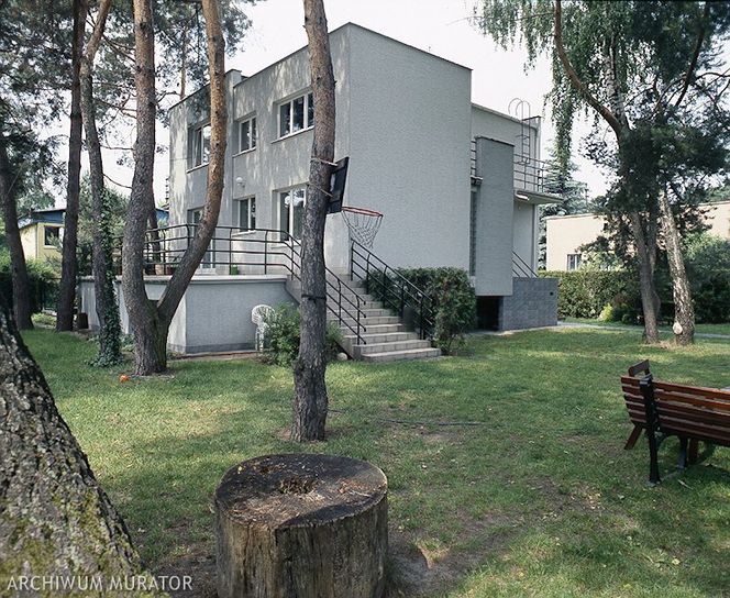 Zmiany w opłatach za wycięcie drzew: procedura uzyskania zezwolenia i kary za nielegalną wycinkę drzewa lub krzewu