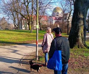 Światowy Dzień Poezji w Szczecinie