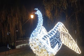 Iluminacje świetlne 2024 Gdańsk