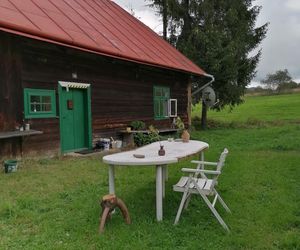 Remont chyży łemkowskiej w Hańczowej