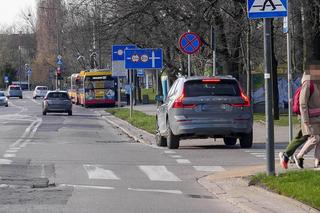Justyna Steczkowska parkuje gdzie chce