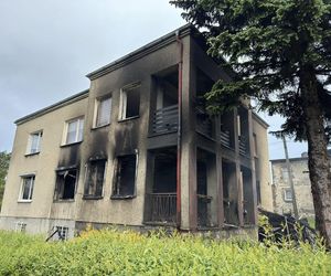 Bohaterska akcja strażaków. Z płonącego budynku wynieśli dwa koty i psa. Rodzina straciła cały dobytek