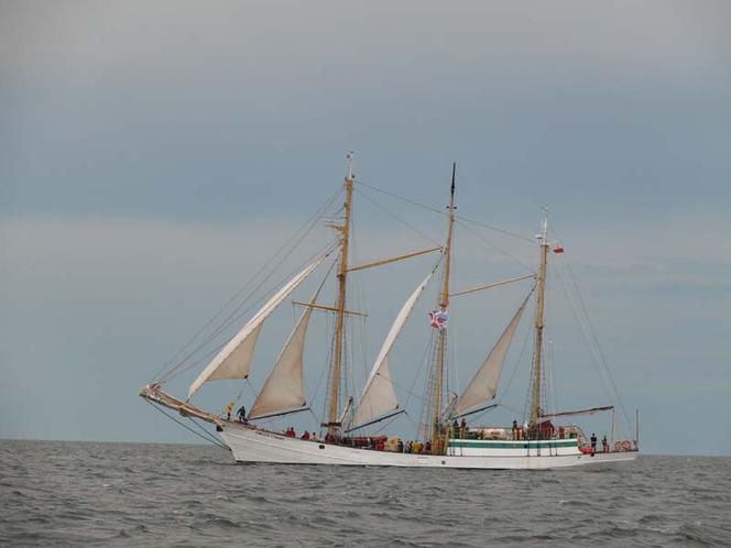 ParadaZagleGdyni2014_FotMZwierz_710415