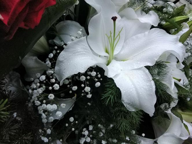 Tragedia w Salisbury. Zamordowane kobiety pochowane w Tarnowie. Grobu nie widać spod kwiatów
