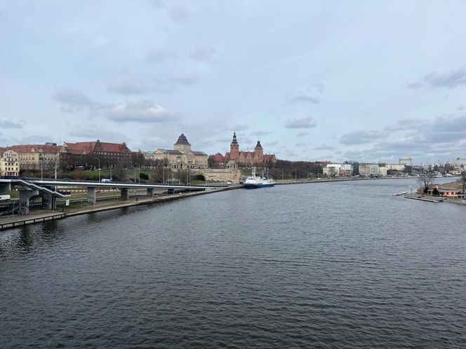 Krokusy na Wałach Chrobrego