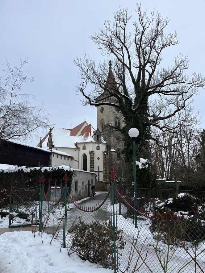 Pałac Slatiňany niedaleko Pardubic - zdjęcia. Święta 100 lat temu i zabytkowa stadnina koni