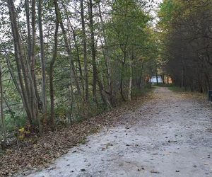 Idealne miejsce na jesienny spacer w Śląskiem - Kamień 