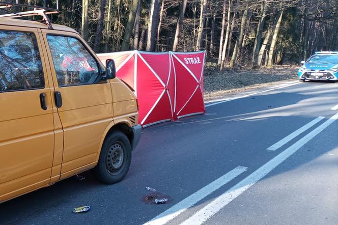 Jutro sekcja zwłok rowerzysty, który zginął na drodze Wąsosz-Rawicz