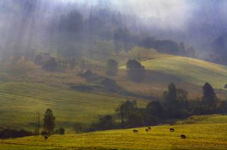 Bieszczady