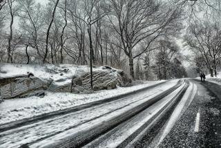 KATASTROFALNA pogoda na Śląsku! Fatalne warunki na drogach. IMGW ostrzega