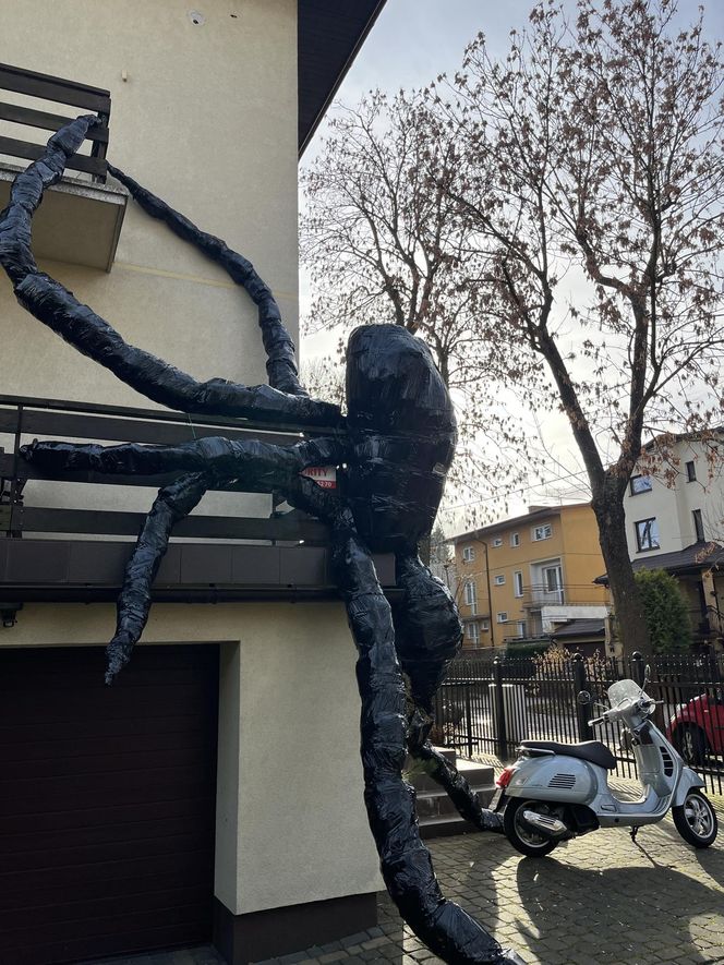 Gigantyczny pająk z plastikowych butelek ozdobił dom w Lublinie