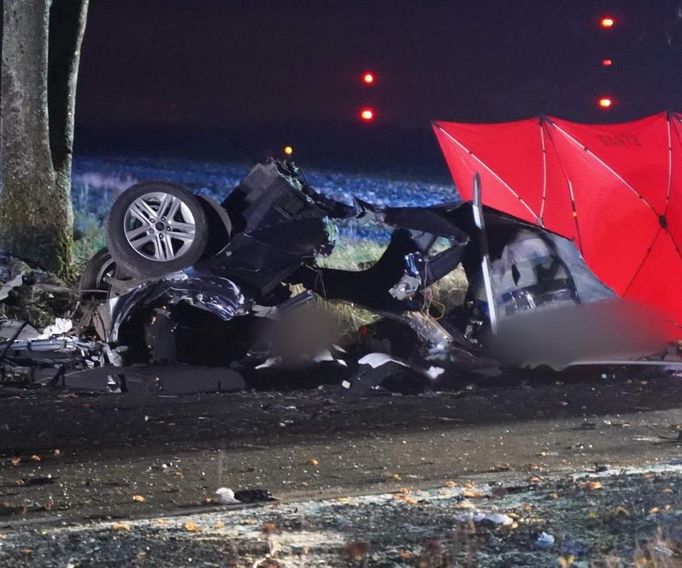 Lubelskie - samochód wypadł z drogi, 1 osoba nie żyje