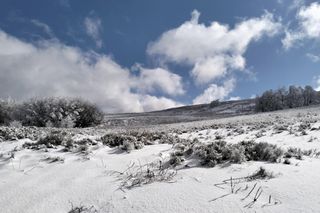 Rezerwat Dziurkowiec