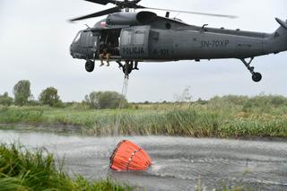 Pożar Biebrzańskiego Parku Narodowego. Spłonęło 13 ha łąk [12/13.06.2023]