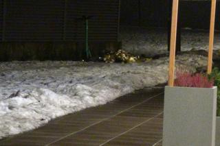 Przeraźliwa śmierć na warszawskiej Woli. Nieżywy mężczyzna leżał w zaspie śnieżnej!