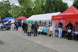 Piknik zdrowia odbył się w centrum miasta 