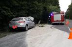 Zderzenie osobówki z ciężarówką w Antoniewie! Droga zablokowana! [ZDJĘCIA] 