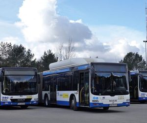 W Gdyni brak rąk do pracy. Autobusy i trolejbusy nie wyjechały na trasę