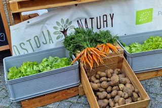 Stare Miasto w Olsztynie tętniło życiem. Zobacz, co działo się w weekend!