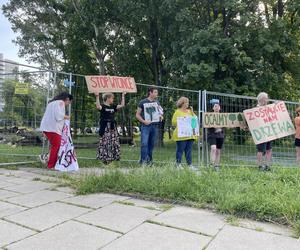 Linia tramwajowa do Mistrzejowic. Protest ws. wycinki drzew w Krakowie