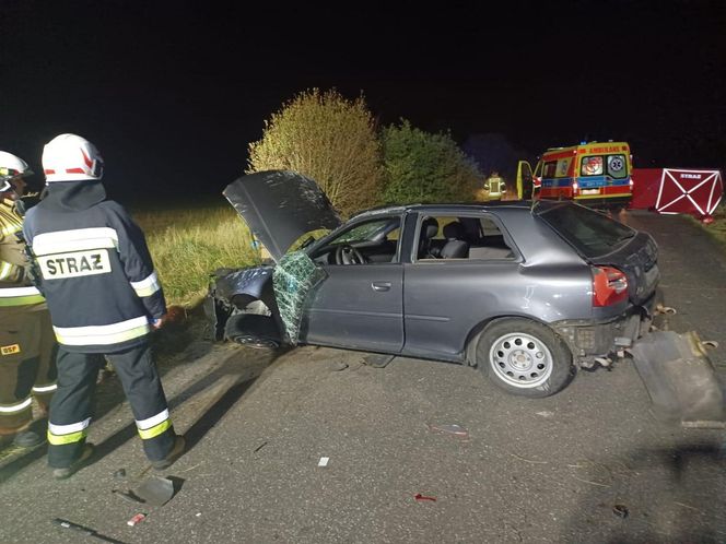 Śmiertelny wypadek pod Bełchatowem. 36-letek zderzył się z sarną [ZDJĘCIA].