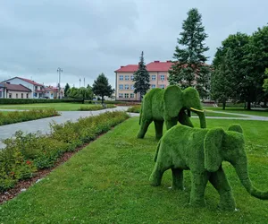 Zielone słonie i smokokrokodyl nową atrakcją Janowa Lubelskiego. Władze miasta mają ważny apel