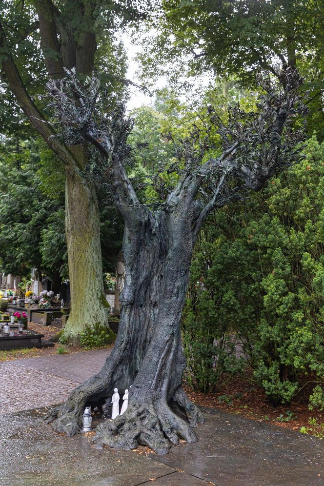 Grób Jana Kulczyka 10 lat od jego śmierci 