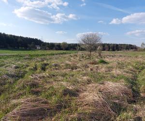 Na tych łąkach przy rzece powstanie osiedle domów. Inwestycja w rejonie ul. Tunelowej/Sandacza