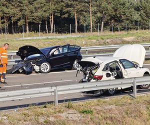 Jeżowe. Śmiertelny wypadek na S-19. Nie żyją kobieta i mężczyzna ze skody [ZDJĘCIA]