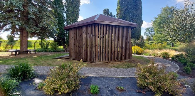 Ogród sensoryczno- naukowy przy SP nr 10 w Zamościu