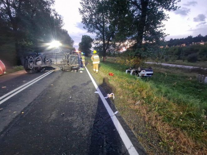 Przytoczna. Śmiertelny wypadek na DK 24. 49-latek nie żyje [ZDJĘCIA].