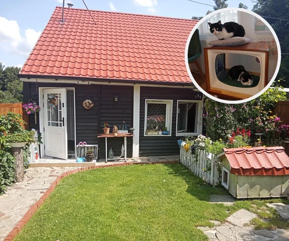 Wyremontowali ruderę do rozbiórki. Ich dom jest pełen oryginalnych przedmiotów