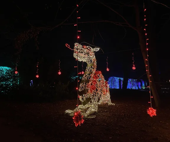 Otwarcie ogrodu świateł, koncerty, spektakle. Tych atrakcji w Warszawie nie możesz przegapić (8-9.11.2025)