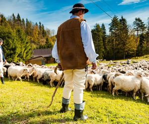 Szczawnica i Krościenko