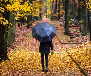 Pogoda na listopad. Temperatury i opady zaskoczą Polaków