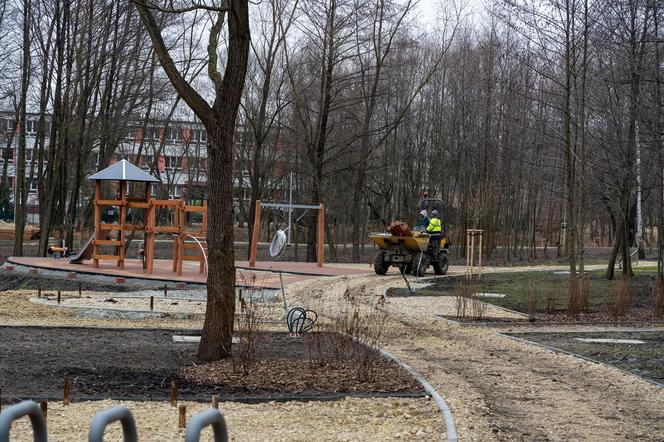 Nowy park w Katowicach 